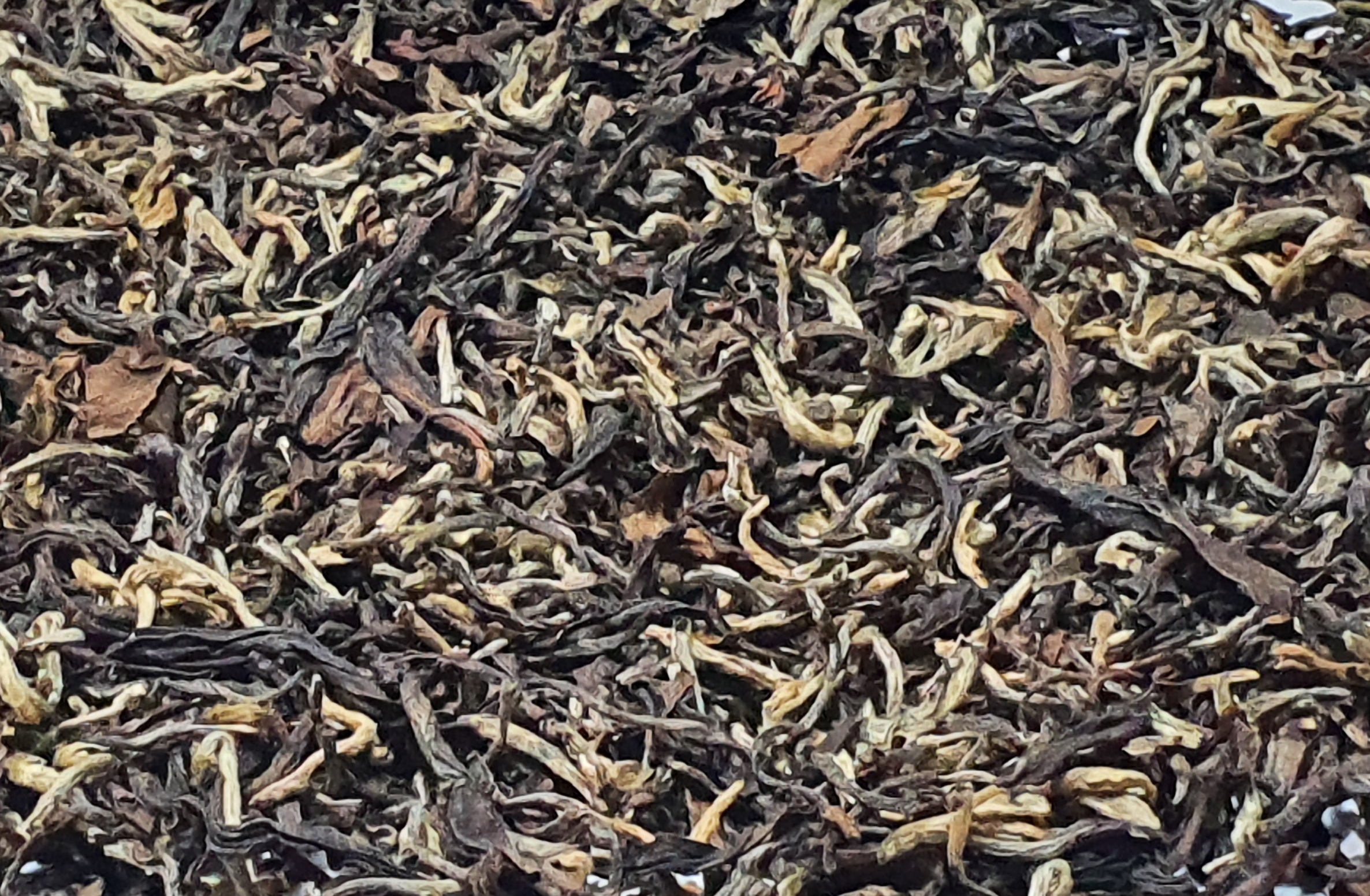 Assam SGFOP Milky Oolong Coffee and Tea Lovers