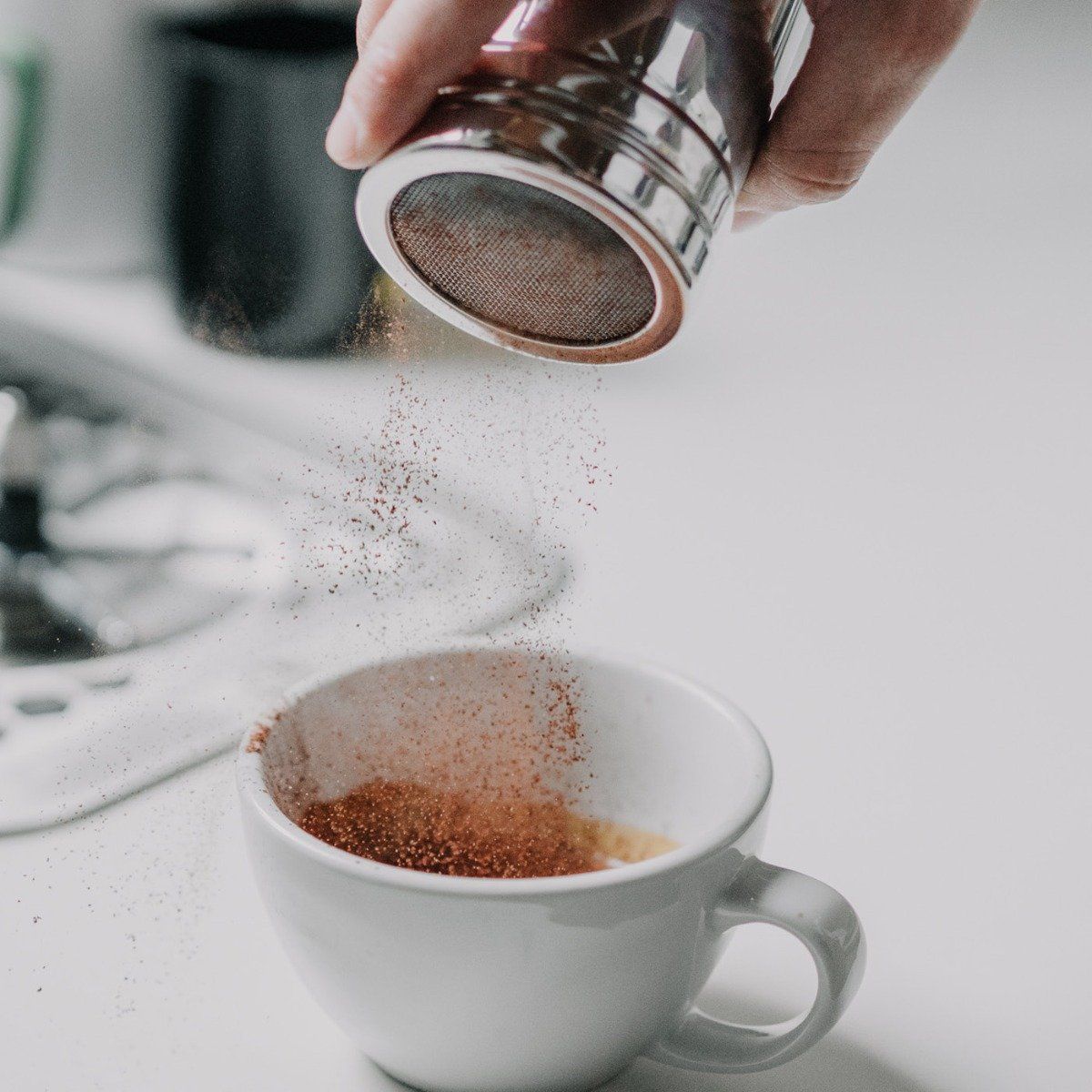 Choco Powder Shaker Rhino Coffee and Tea Lovers