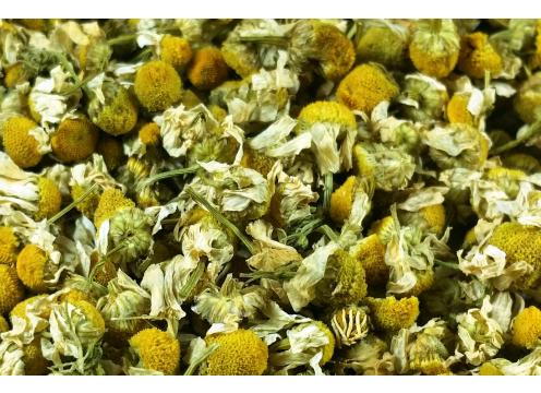 gallery image of Pure Chamomile - Organic