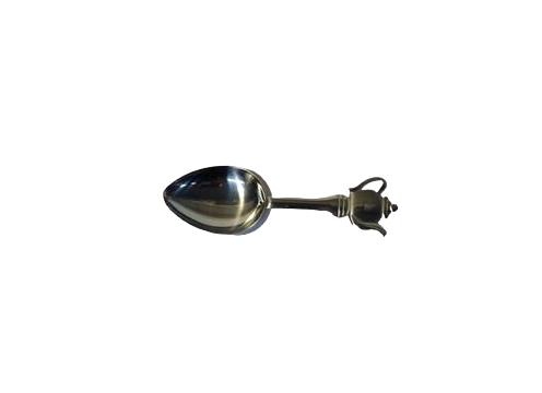 product image for Tea Spoon - Ali