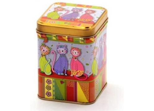 product image for Evi Cat Tin