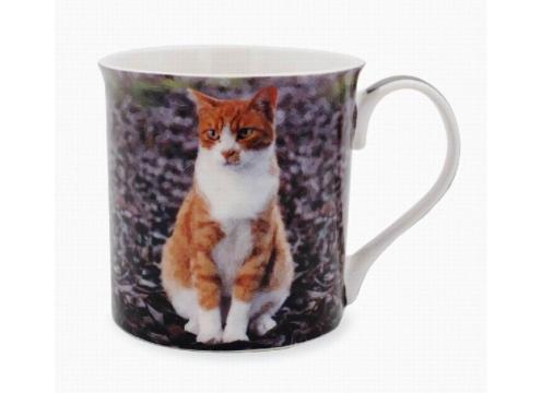 product image for Leonardo Cat Collection - Ginger Cat