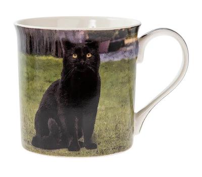 image of Leonardo Cat Collection - Black Cat