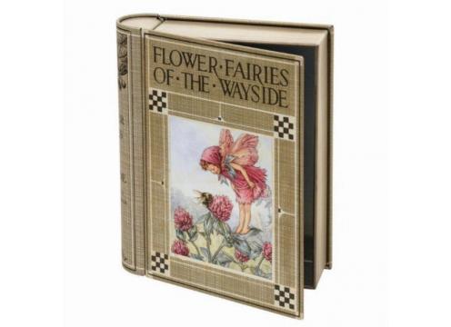 product image for Flower Fairies  Of  The  Wayside - Book Case Tin